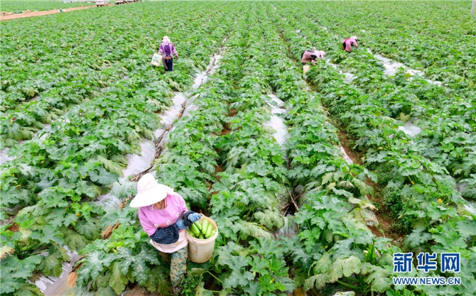 1310343226_16382690939371n 1310343226_16382690939371n