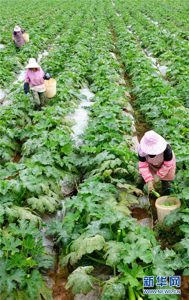 1310343226_16382690942771n 1310343226_16382690942771n