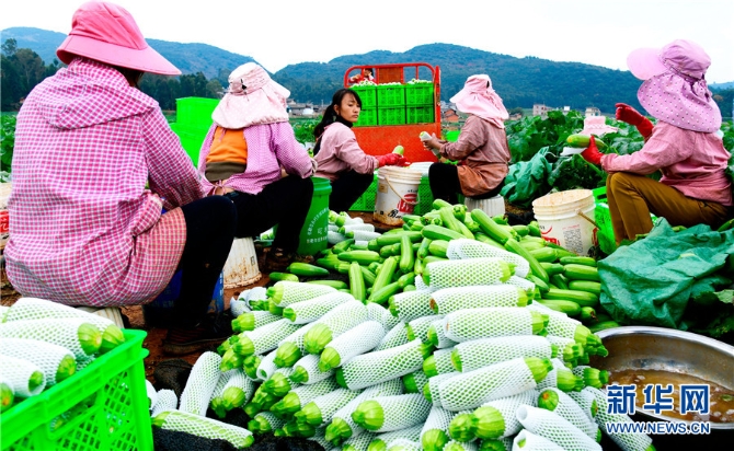 1310343226_16382690947641n 1310343226_16382690947641n