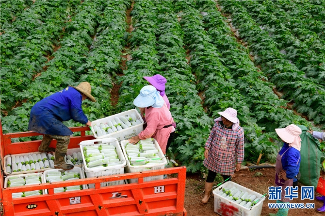 1310343226_16382690950791n 1310343226_16382690950791n