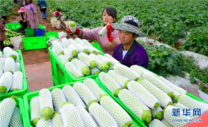 1310343226_16382690952541n 1310343226_16382690952541n