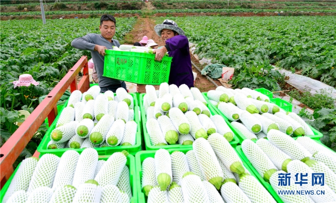 1310343226_16382690954351n 1310343226_16382690954351n