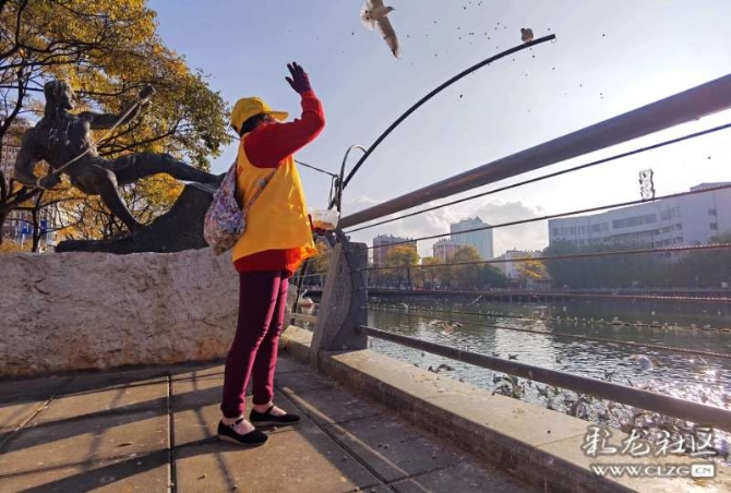 16382243306451921886829370434_5434 16382243306451921886829370434_5434