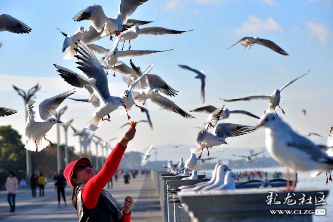 16382179265537328716675416466_5434 16382179265537328716675416466_5434