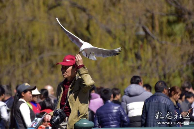 16382179268644281739231700020_5434 16382179268644281739231700020_5434