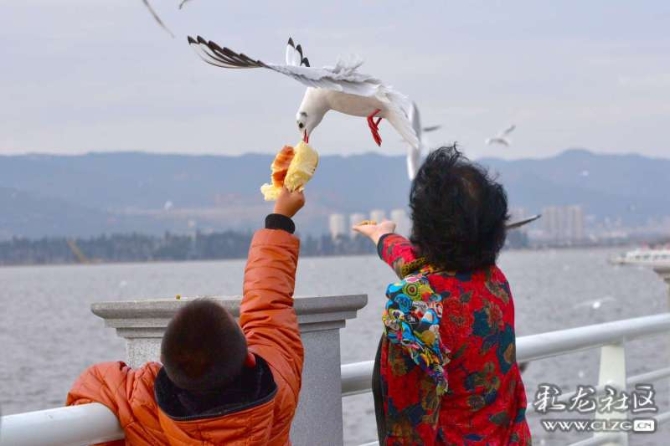 16382179266871515057955023387_5434 16382179266871515057955023387_5434