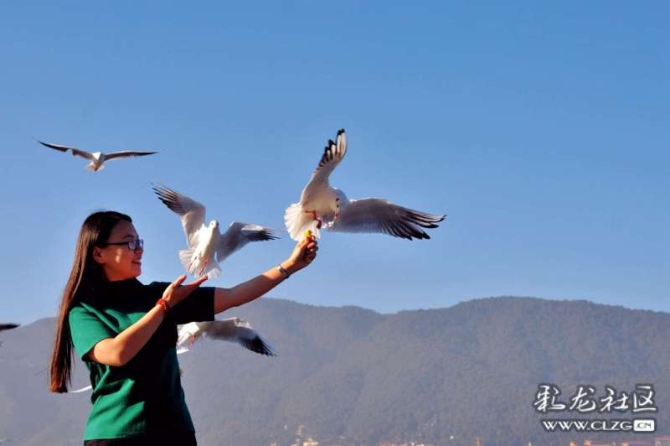 16382179265288758004405065554_5434 16382179265288758004405065554_5434