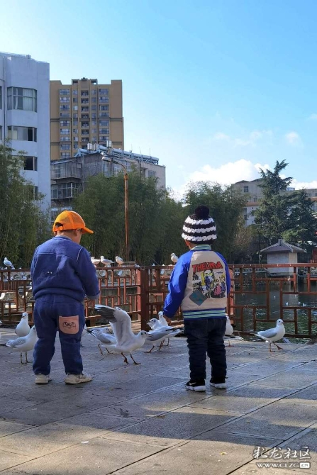 16382275498023361994768362145_5434 16382275498023361994768362145_5434