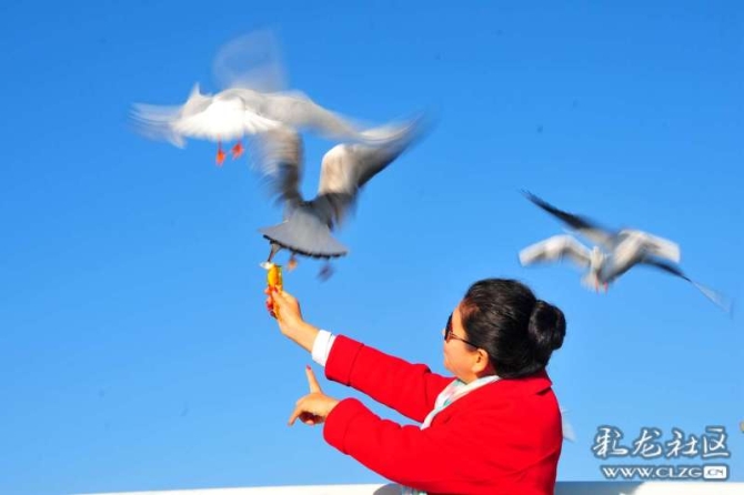 16382179268630747966050046326_5434 16382179268630747966050046326_5434