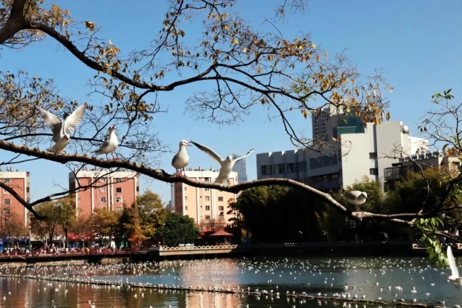 640.webp (3) 640.webp (3)