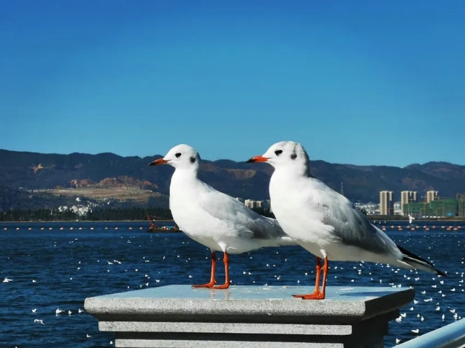 640.webp (4) 640.webp (4)