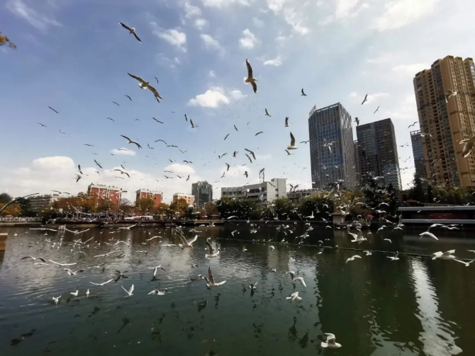 640.webp (5) 640.webp (5)