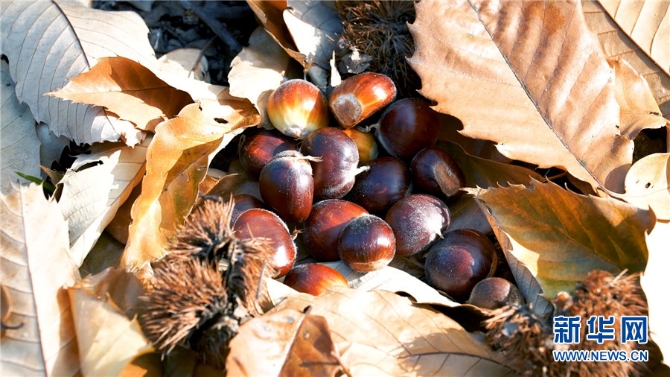 1310344331_16384062681721n