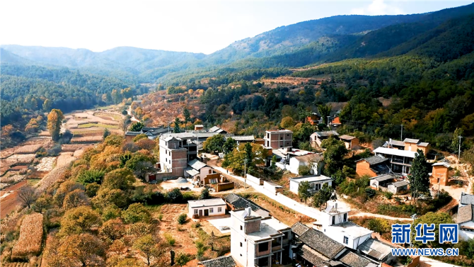 1310344331_16384062684531n