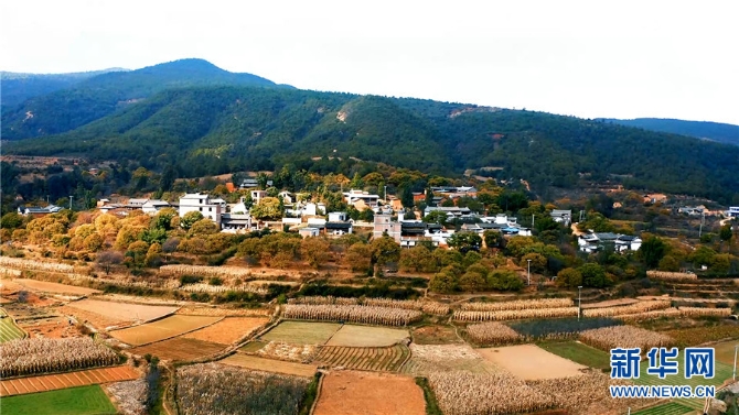 1310344331_16384062688391n