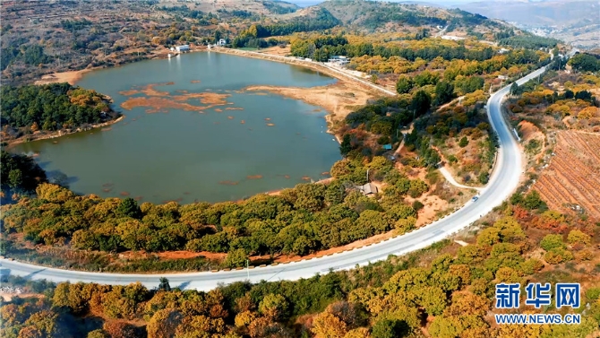 1310344331_16384062689571n