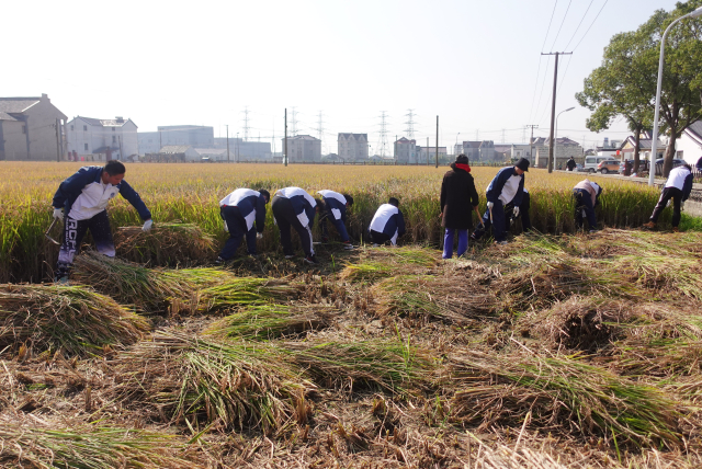 W020211130719637464039