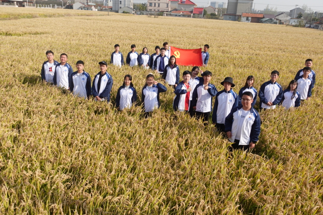 W020211130719766218662