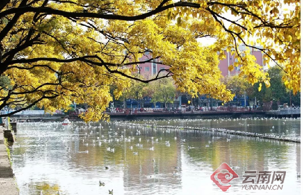 00304324191_dd9541af