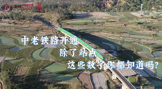 00304324971_3197d180 00304324971_3197d180