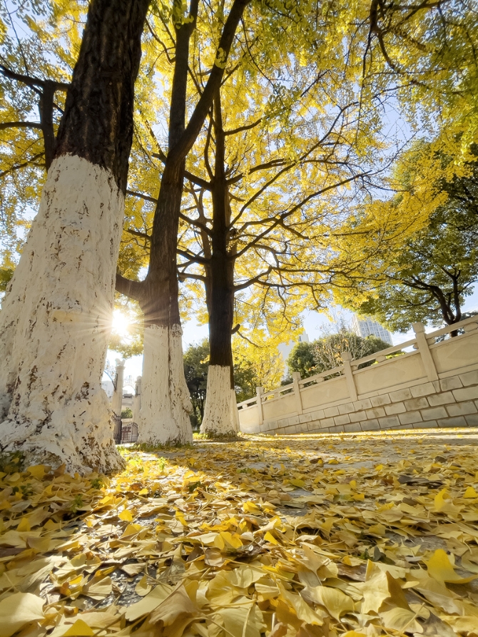 微信圖片_20211203141155_副本