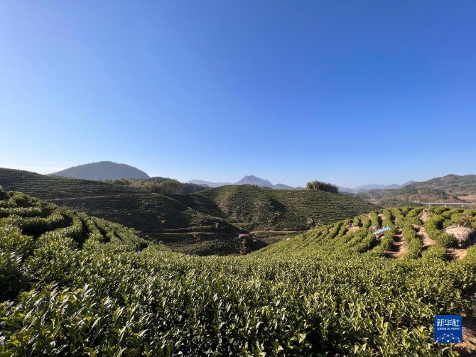 1310349668_16385754914431n 1310349668_16385754914431n