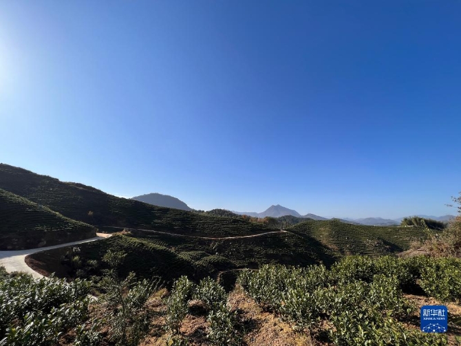 1310349668_16385754915091n 1310349668_16385754915091n