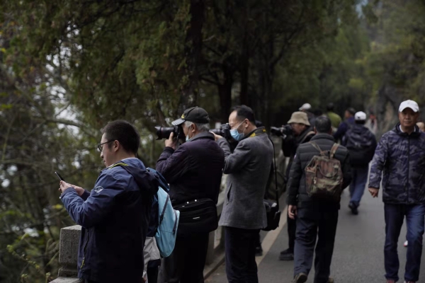 1bec34f3bb30489e99ec28d583ad63c9 1bec34f3bb30489e99ec28d583ad63c9