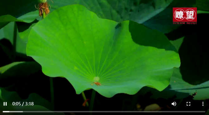 點(diǎn)擊查看視頻 點(diǎn)擊查看視頻