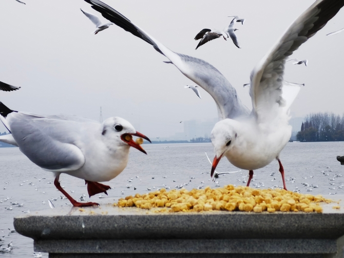 2021120615193240MG9J 2021120615193240MG9J