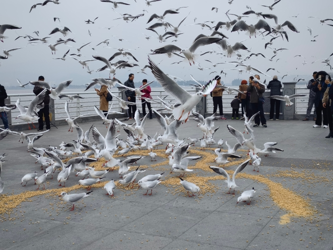 2021120615193817DPRS 2021120615193817DPRS