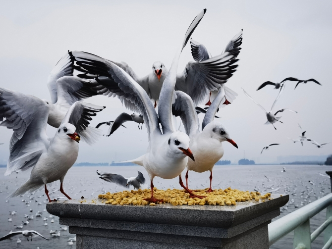 202112061519351KUFBP 202112061519351KUFBP