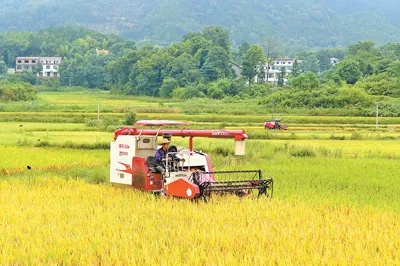 a_652386947976654848