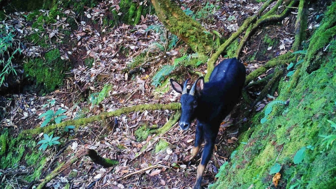 4FNNbGwmWH 4FNNbGwmWH