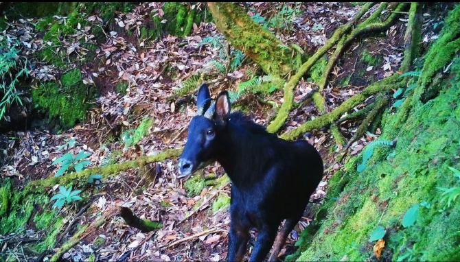 7WekMaZK4T 7WekMaZK4T