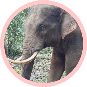 1310358196_16389279395111n 1310358196_16389279395111n