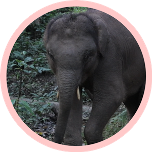 1310358196_16389279395141n 1310358196_16389279395141n