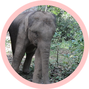 1310358196_16389279395241n 1310358196_16389279395241n