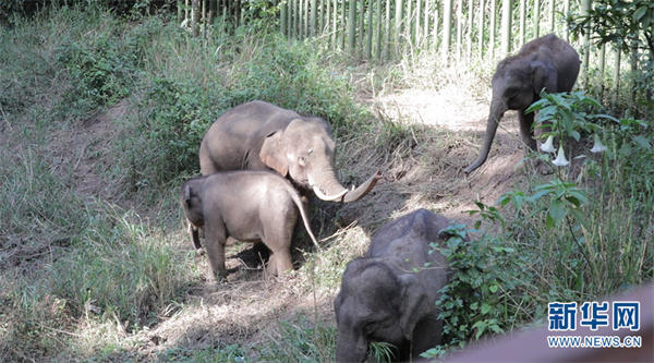 1310358196_16389279395261n 1310358196_16389279395261n