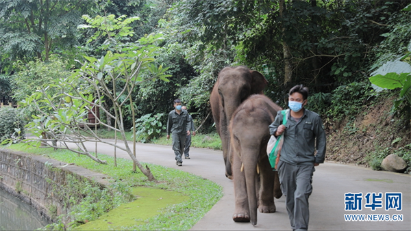 1310358196_16389279395291n 1310358196_16389279395291n