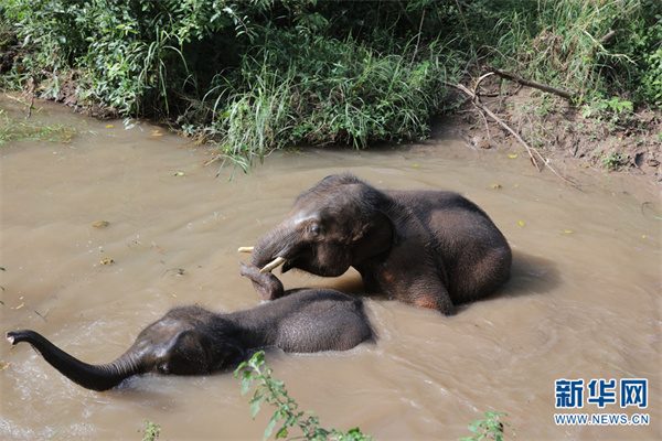 1310358196_16389279395411n 1310358196_16389279395411n