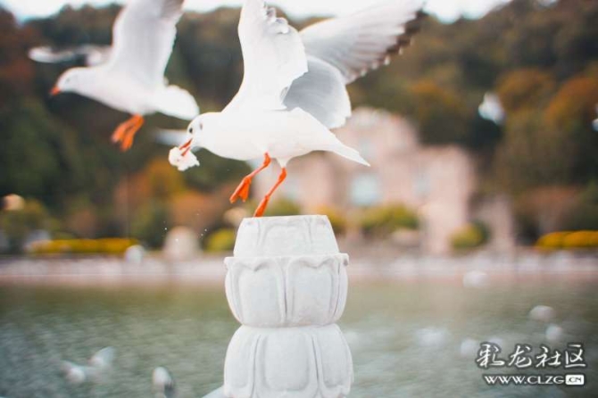 16386328988040470269230419529_6345 16386328988040470269230419529_6345