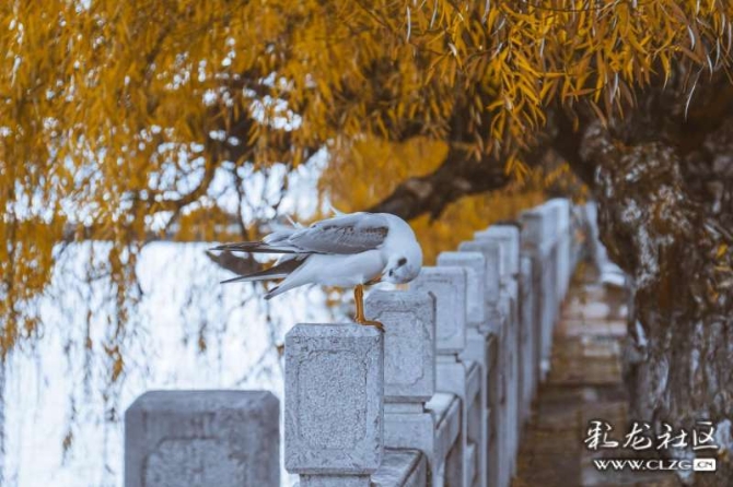 16386328988185310413994754248_6345 16386328988185310413994754248_6345