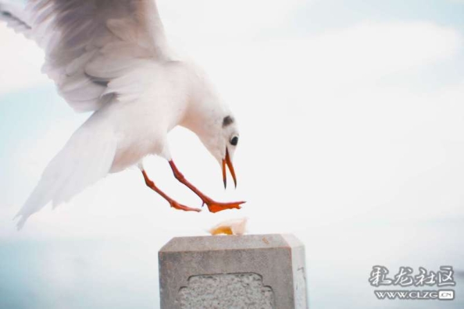 16386328987186749885185550210_6345 16386328987186749885185550210_6345