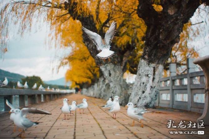 16386328988953949427169943740_6345 16386328988953949427169943740_6345