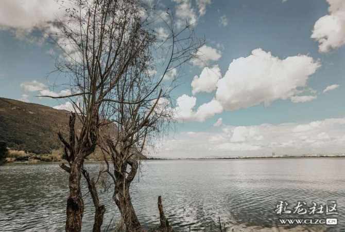 16386328987843473815090334222_6345 16386328987843473815090334222_6345