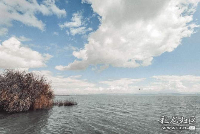 16386328987256082951866106625_6345 16386328987256082951866106625_6345