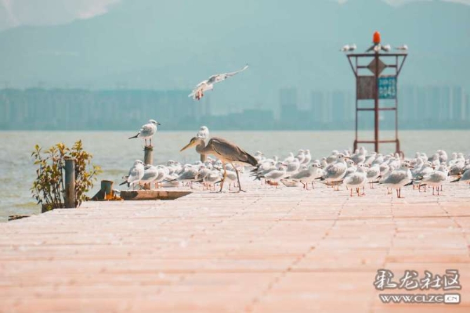 16386328986654812357930434396_6345 16386328986654812357930434396_6345