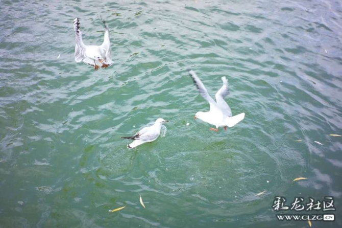 16386328985266057277988891180_6345 16386328985266057277988891180_6345