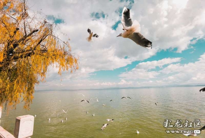 16386328985614578373888560513_6345 16386328985614578373888560513_6345